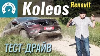 Новый Koleos За что его любить Тестдрайв Рено Колеос [upl. by Shaya]