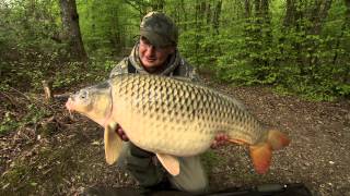 Danny Fairbrass Talks Carp Fishing Rigs [upl. by Eerihs217]