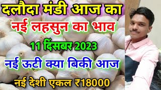 दलौदा मंडी नई ऊटी लहसुन का भाव 11 दिसंबर 2023 new ooty garlic rate today nai lahsun ka bhav [upl. by Amsaj780]