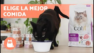 ¿Cómo elegir la COMIDA de mi GATO 🐱🥩  Ofrécele un Buen Alimento ✅ [upl. by Hopfinger397]