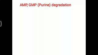 Degradation of Purine nitrogenous base A G Uric acid formation [upl. by Eiluj]