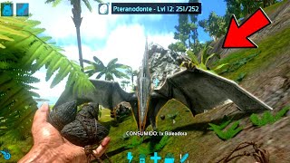 Como tamear un Pteranodon en ark Mobile [upl. by Aem132]