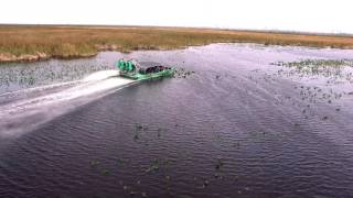 Everglades Tour at Everglades Holiday Park Airboat Tours and Rides [upl. by Ialohcin261]