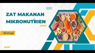 BIOLOGI Kelas 11  Sistem Pencernaan Zat Makanan Mikronutrien [upl. by Eidok761]