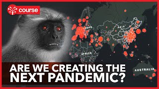 Zoonotic Diseases  How the next Pandemic could happen [upl. by Evan]