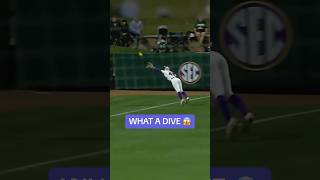 Diving catch of the year 😱 shorts [upl. by Alet]