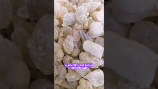 Frankincense for treatment eating and drinking 0096871181785 [upl. by Sussna]