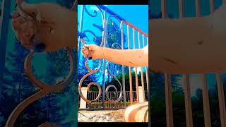 Painting wrought iron railings exteriorpainting [upl. by Namra628]