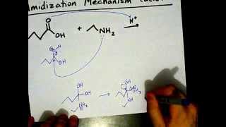 How to Make Amides Mechanism [upl. by Ailin]