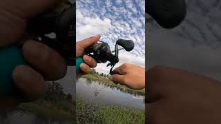 বিলে ফিশিং 🎣shorts fishing viralshorts [upl. by Cullin]