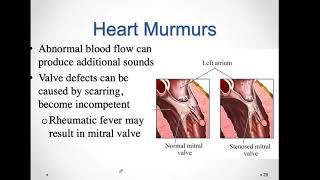 Bio 5Module 9Cardio part 2 [upl. by Theodor425]