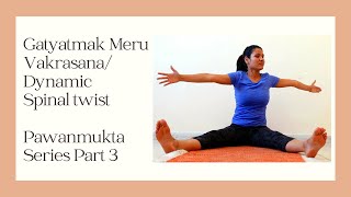 Gatyatmak Meru Vakrasana Dynamic Spinal twist Pawanmukta Series Part 3 BSY [upl. by Malissia]