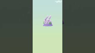 Did We Hit The Jackpot Egg Hatching In Nufftingz Shorts Pokémon Go Nov 19th 2024 [upl. by Nnaegroeg]