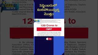 సెప్టెంబరులో మినహాయిస్తున్న మొత్తం payslip apemployeesnews apnews september2024 [upl. by Sukul]