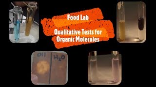 ⌬ Food Lab Qualitative Analysis for Organic Compounds  Mr Pauller [upl. by Elleined]