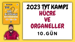 10Hücre Organelleri TYT Biyoloji Kampı Konu Anlatımı 9Sınıf 2023 Tayfa [upl. by Ihp]