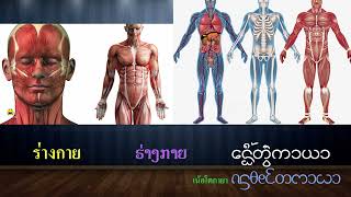 เรื่องเล่า 8 นาที เรียนภาษาไทลื้อ ຮຽນພາສາໄທລື້  6 [upl. by Eudoxia706]