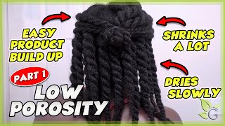 Is your hair LOW POROSITY How to know  Care tips Part 1 [upl. by Ailicec]