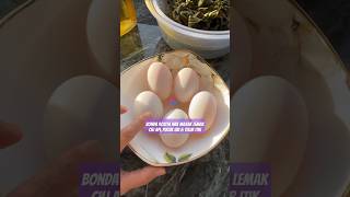 BONDA ROZITA NAK MASAK LEMAK CILI API PUCUK UBI amp TELUR ITIK [upl. by Okeim]