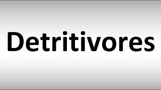 How to Pronounce Detritivores [upl. by Tracey]