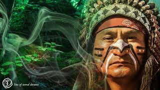 Shaman Drumming  Ayahuasca Trance 852Hz [upl. by Alleusnoc601]