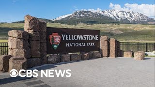 Suspect dead after shooting at Yellowstone National Park [upl. by Ginni]