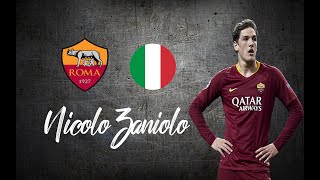 Nicolò Zaniolo ● Skills Shots Dribbles ●│2019  2020│►HD [upl. by Baggs256]