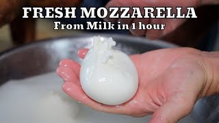 HOW TO MAKE FRESH MOZZARELLA REAL FROM SCRATCH  At Home Very Easy [upl. by Ledoux815]