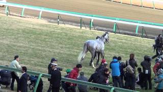 2012年有馬記念 ゴールドシップ GOLD SHIP ウイニング・ラン [upl. by Anilejna]