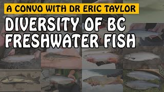 FRESHWATER FISH SPECIES of BRITISH COLUMBIA  Fishing with Rod [upl. by Rivard]