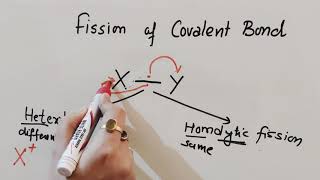 Fission of Covalent Bond  Inductive Effect  Hyperconjugation Class 11Chemistry [upl. by Huppert298]