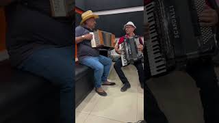 FORROZIM Sirano sanfona forro improviso terapia nordeste musica sirano [upl. by Memory]