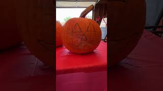 Carving pumpkins was fun carving pumpkin evening vlog [upl. by Mariel]