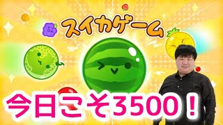 【初見さん大歓迎】3500点目指して1年！参加型オンライン対戦もぜひ【スイカゲーム】 [upl. by Yarvis]