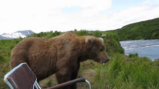 Pebble Mine threatens McNeil River [upl. by Ynnel982]