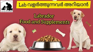 Lab dog food malayalam  Supplements  Dog food malayalam [upl. by Erehpotsirhc]