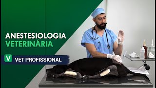 Anestesiologia Veterinária l VET Profissional [upl. by Vernita]