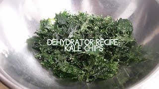 Dehydrator Recipe Kale Chips [upl. by Connell]