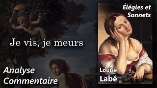 LOUISE LABÉ 🔎 « Je vis je meurs» Analyse au fil du texte du poème [upl. by Eerac748]