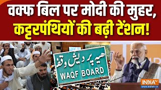 PM Modi Statement On Waqf Board वक्फ बिल पर मोदी की मुहरउलेमा बोर्ड बेचैन  Maharashtra Election [upl. by Silenay]