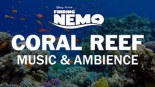 Finding Nemo  Disney Music amp Ambience  Coral Reef Underwater Sounds for Sleep Study Relaxation [upl. by Ailime]