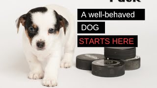 Getting a wellbehaved dog starts as a puppy Watch this video series on puppy training VIDEO 1 [upl. by Strickler568]