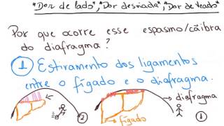 O que causa a quotDor Desviada de Veado de Ladoquot  DoseDiária [upl. by Belicia]