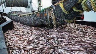 Life On Largest Midwater Trawl Vessel  Fishing trip on trawler the High Sea [upl. by Abebi]