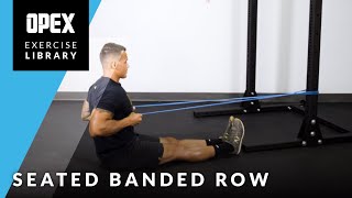 Seated Banded Row  OPEX Exercise Library [upl. by Yllehs]