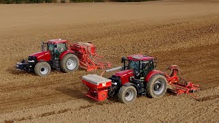 Une team Case IH au labour et semis de blé avec 2 charrues et 2 semoirs de 4 mètres  🔴🌾 [upl. by Groveman]