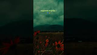 Sandhana kaatre song whatsapp status tamil love whatsappstatus tamilsong sandhanakaatre [upl. by Aicnom]