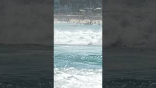 Bondi Surfing Sydney Part 3 [upl. by Cirek]