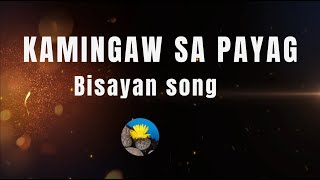 KAMINGAW SA PAYAG  VISAYAN SONG  KAROKE [upl. by Iliram968]