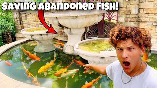 Saving ABANDONED Aquarium FISH From FOUNTAIN POND [upl. by Ayifa]